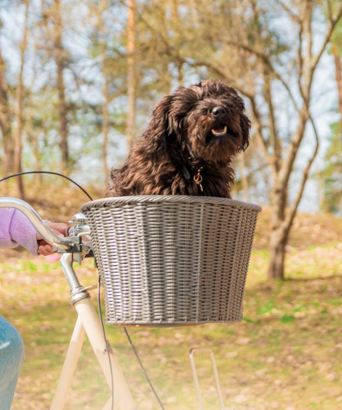 Sveriges Största Djurbutik Online