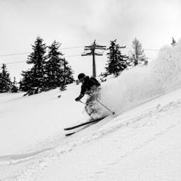 Skidresor