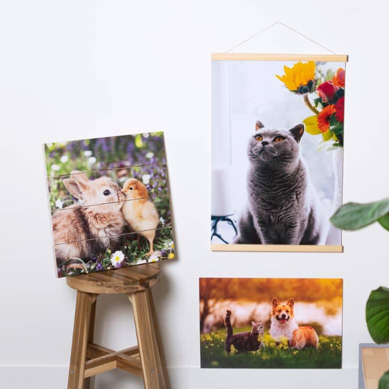 Upp till 50 % rabatt hos Smartphoto