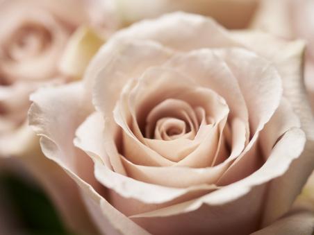 Euroflorist - Spara 30% på utvalda produkter.