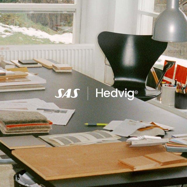 Tjäna SAS EuroBonus på försäkring | Hedvig