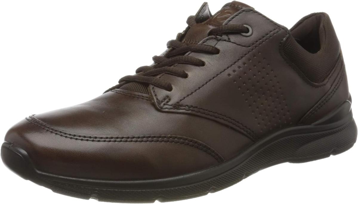 ECCO Irving Herrskor från 450 kr