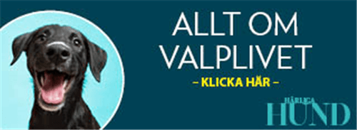 Valpbag Portable Diaper Changing Pad