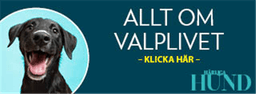 Valpbag Portable Diaper Changing Pad