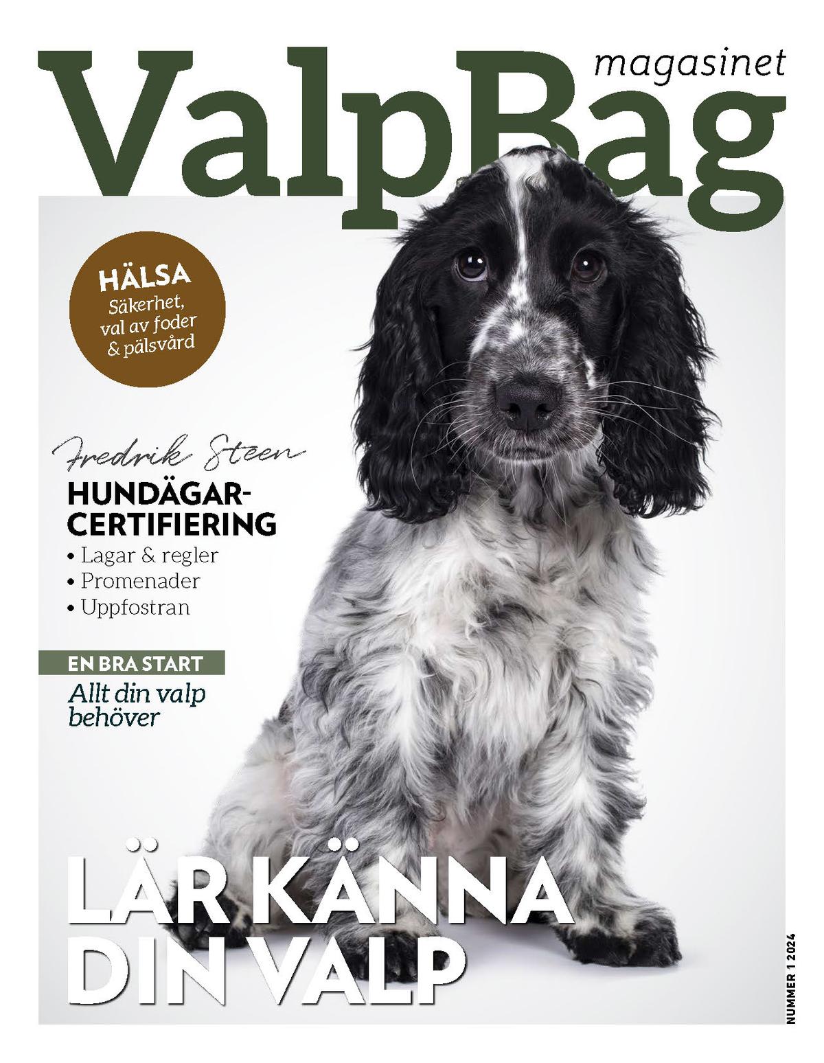 Valpbag Portable Diaper Changing Pad