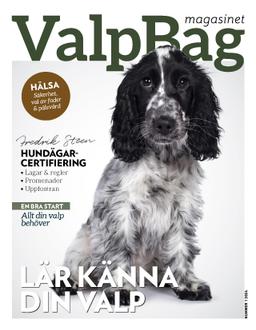 Valpbag Portable Diaper Changing Pad
