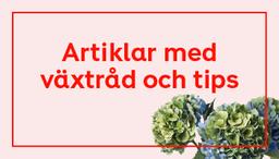 Stort sortiment av innekrukor & utekrukor