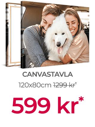 Bästa Erbjudanden på Canvas