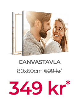 Bästa Erbjudanden på Canvas