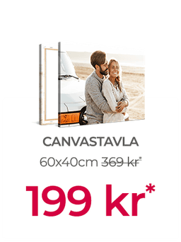 Bästa Erbjudanden på Canvas