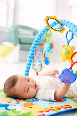 41% Fisher-Price HBB73 - Kul speltäcke med leksaker