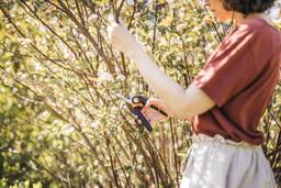 Fiskars PowerGear X Bypass Pruner P921