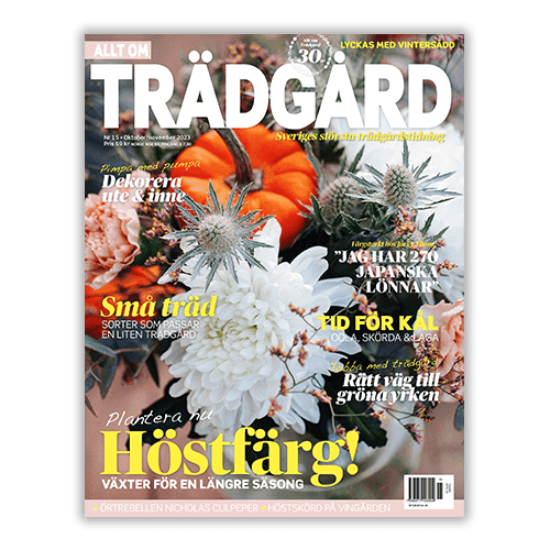 BLACK FRIDAY - upp till 72% rabatt på tidningar