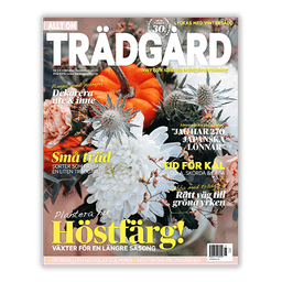 BLACK FRIDAY - upp till 72% rabatt på tidningar