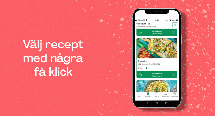 Nutritious HelloFresh Meal Kit Delivery