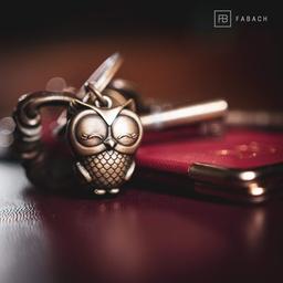 FABACH Owly Engraved Owl Keyring - Antique Bronze