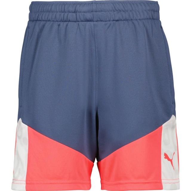 Puma IndividualCUP JR Träningsshorts Vit/Blå