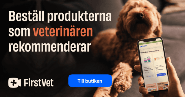 FirstVet Djurtyp - Veterinärtjänster Online