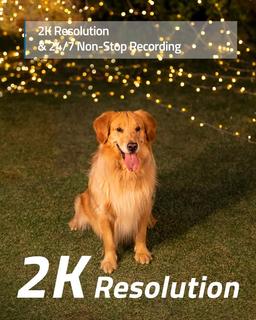 2K Pro Outdoor Security Camera with Floodlight
