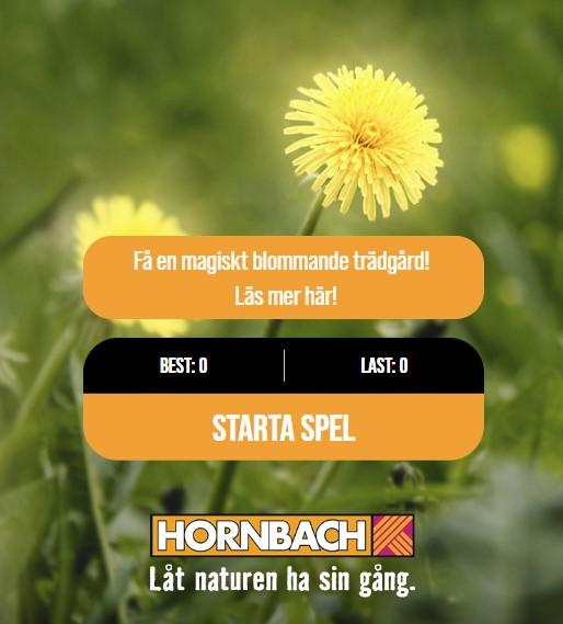 Spela och vinn presentkort från HORNBACH på 1000 kr