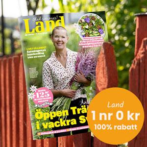 Solsting hos Tidningskungen - tidningar från 0 kr