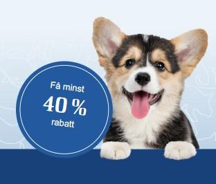 Få minst 40% rabatt på Agria Hundförsäkring