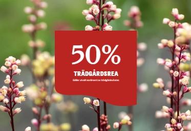 Trädgårdsrea: Rabatt på Växter - Blomsterlandet