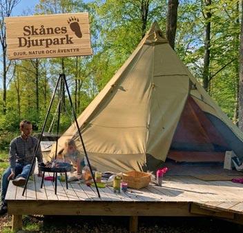 25% rabatt på övernattningsäventyr på Skånes Djurpark
